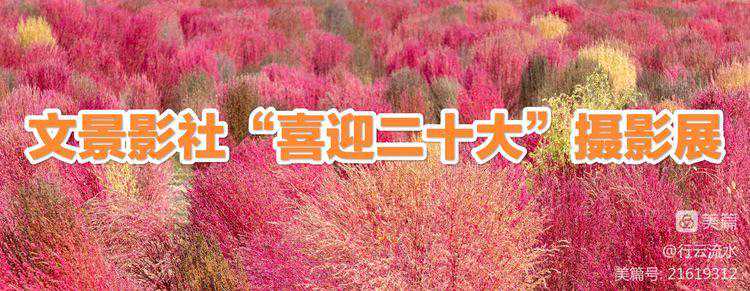 武汉11月的样子，都在这些照片里｜城市摄影队