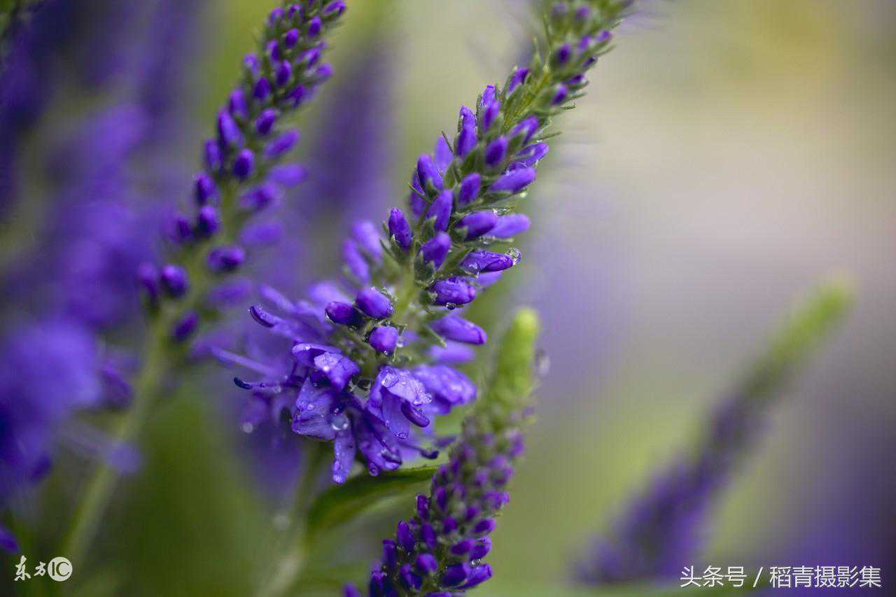 最简单也最常用的对焦点，10个简单对焦秘诀