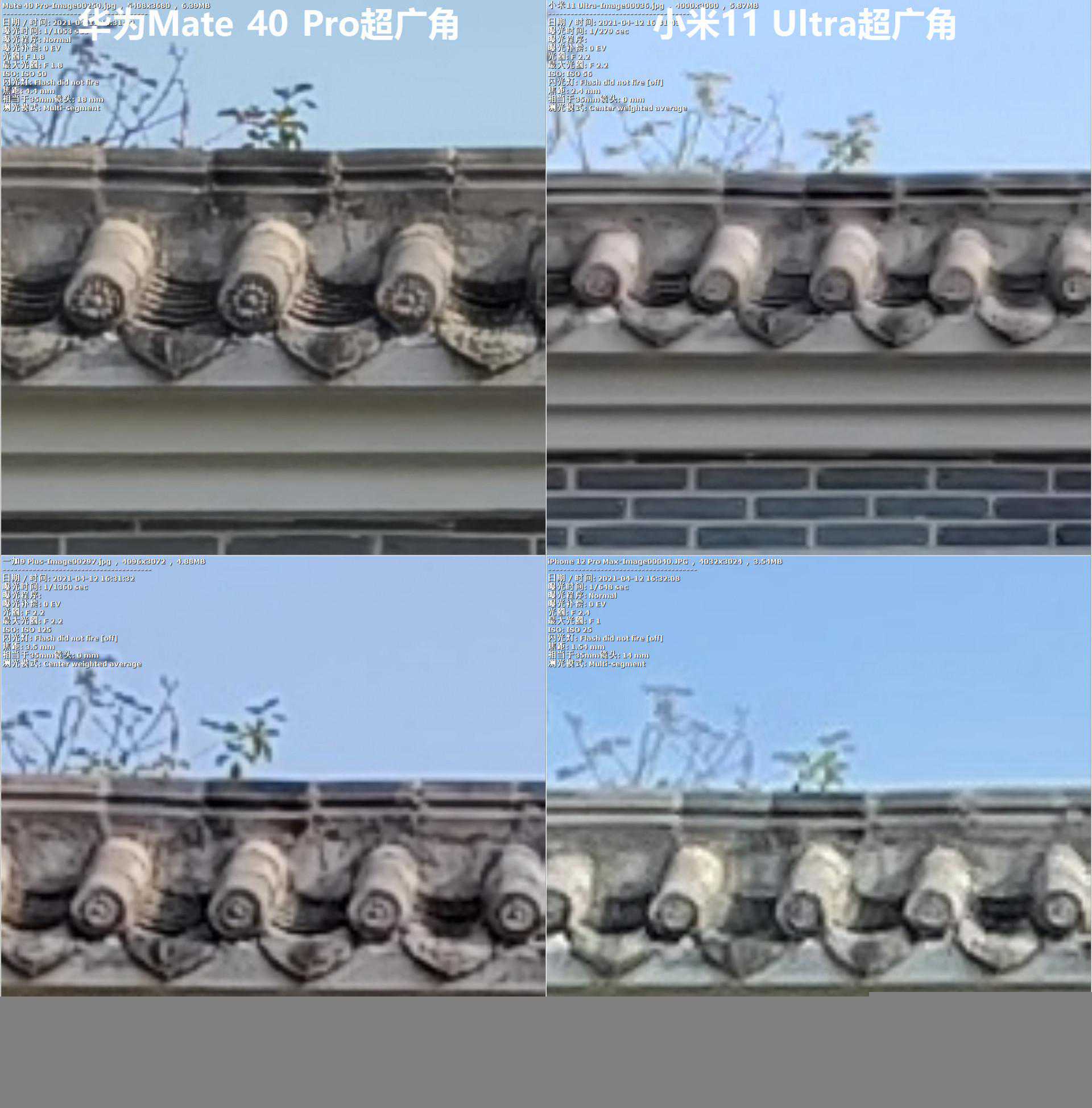 摄影中的散景是什么，如何拍出好看的散景照片？