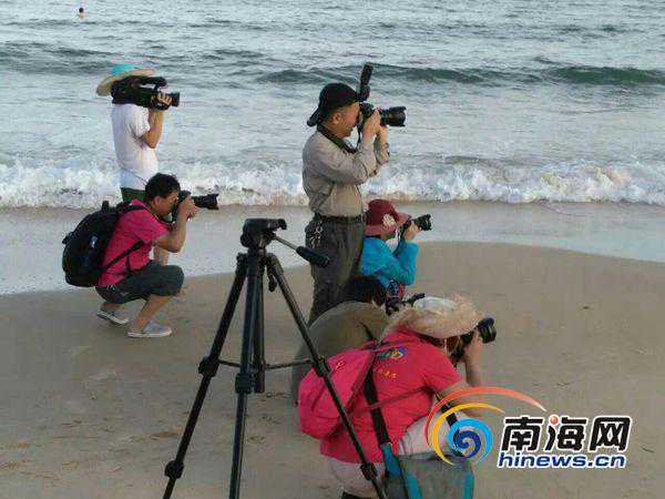 南海网婚拍体验团走进陵水清水湾 直呼“太美了”