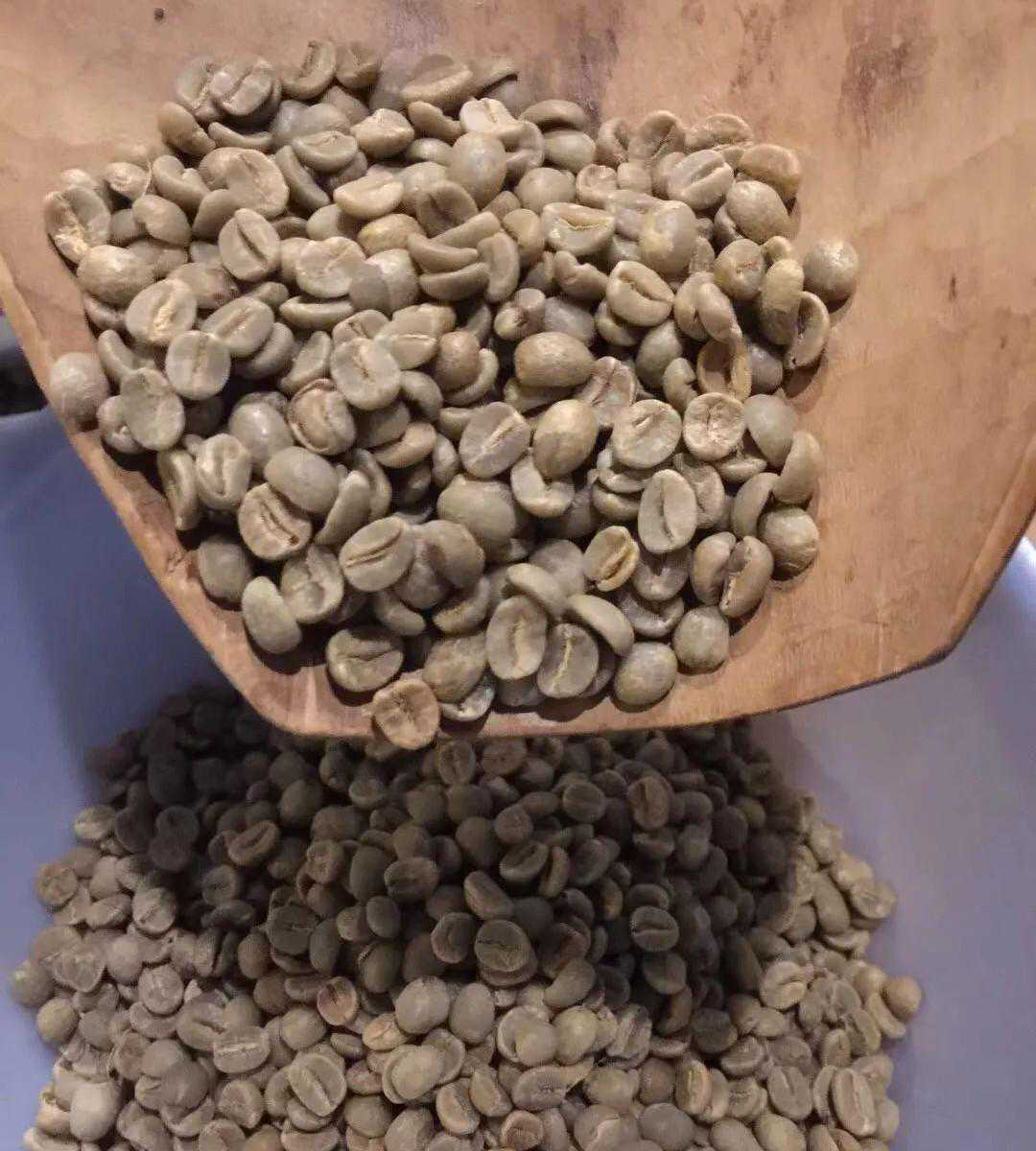 咖啡知识｜全球53个咖啡产地大调研——非洲篇