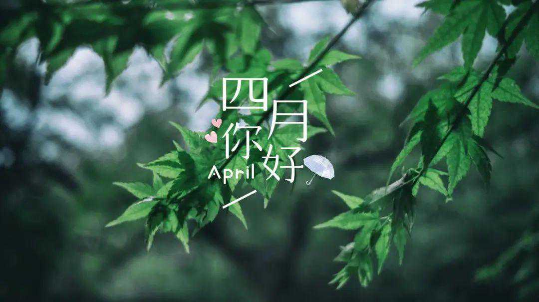 这是人间四月天，50张成都最迷人的样子（组图）