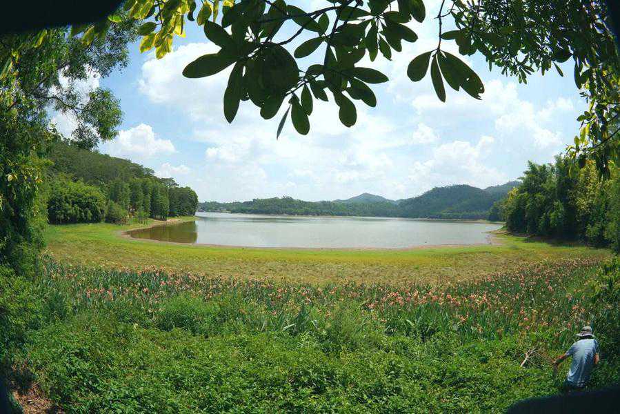 企业家摄影协会（深圳）会员用镜头定格东莞黄牛埔森林公园大美山湖