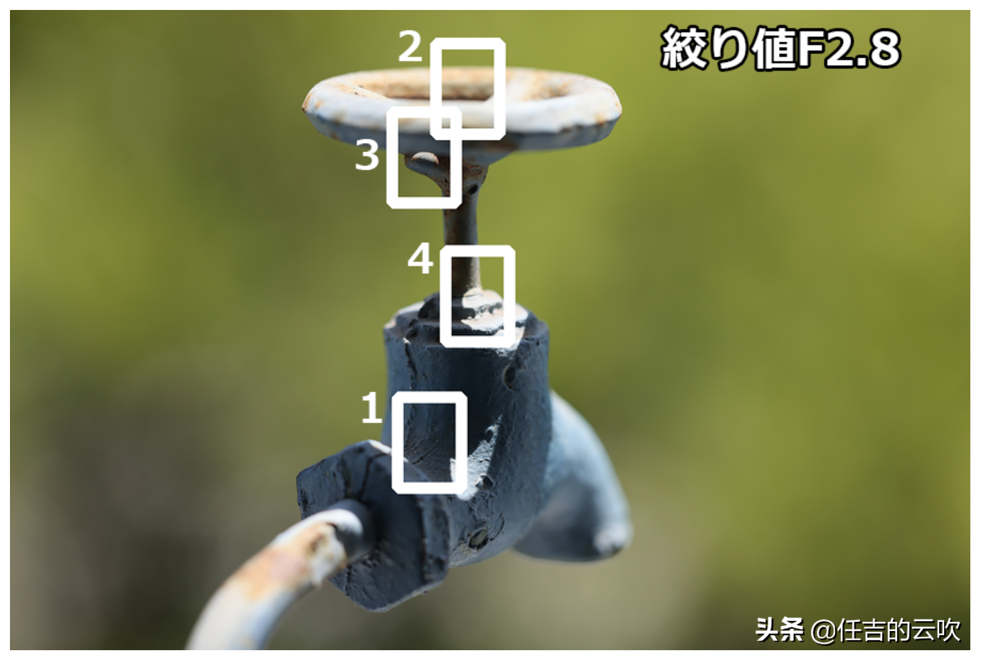 佳能RF和EF两款百微镜头的差别和SA环效果是什么样的？
