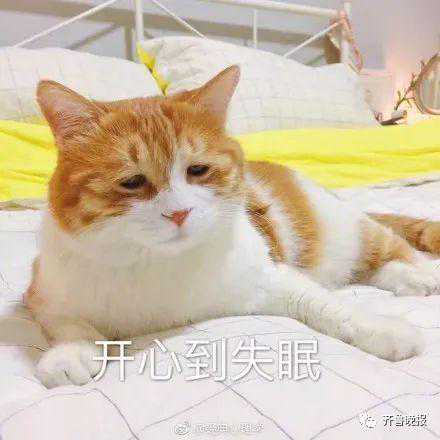 酒店同时有12对新人结婚！宾客惊叹：场面壮观，不知道去哪吃饭