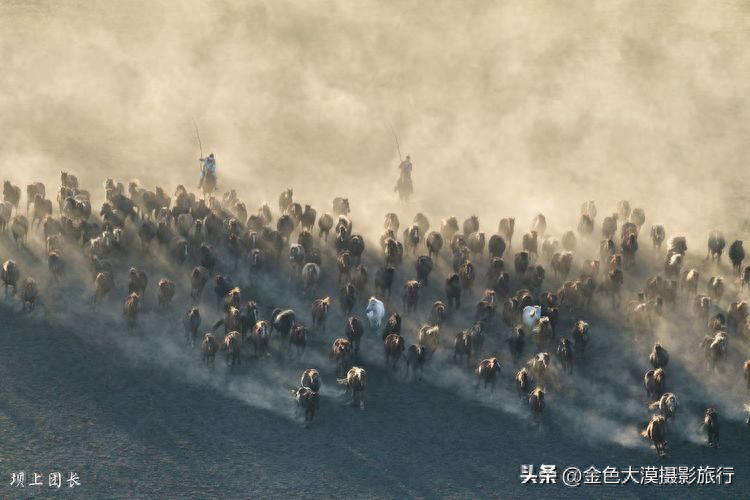 2024第九届夏季坝上万马奔腾摄影团招募