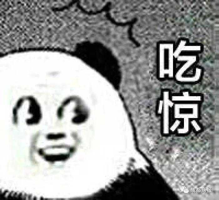 “铂爵旅拍毁了我的婚纱梦！”没一张能拿出手，多人投诉拍完还被要求...