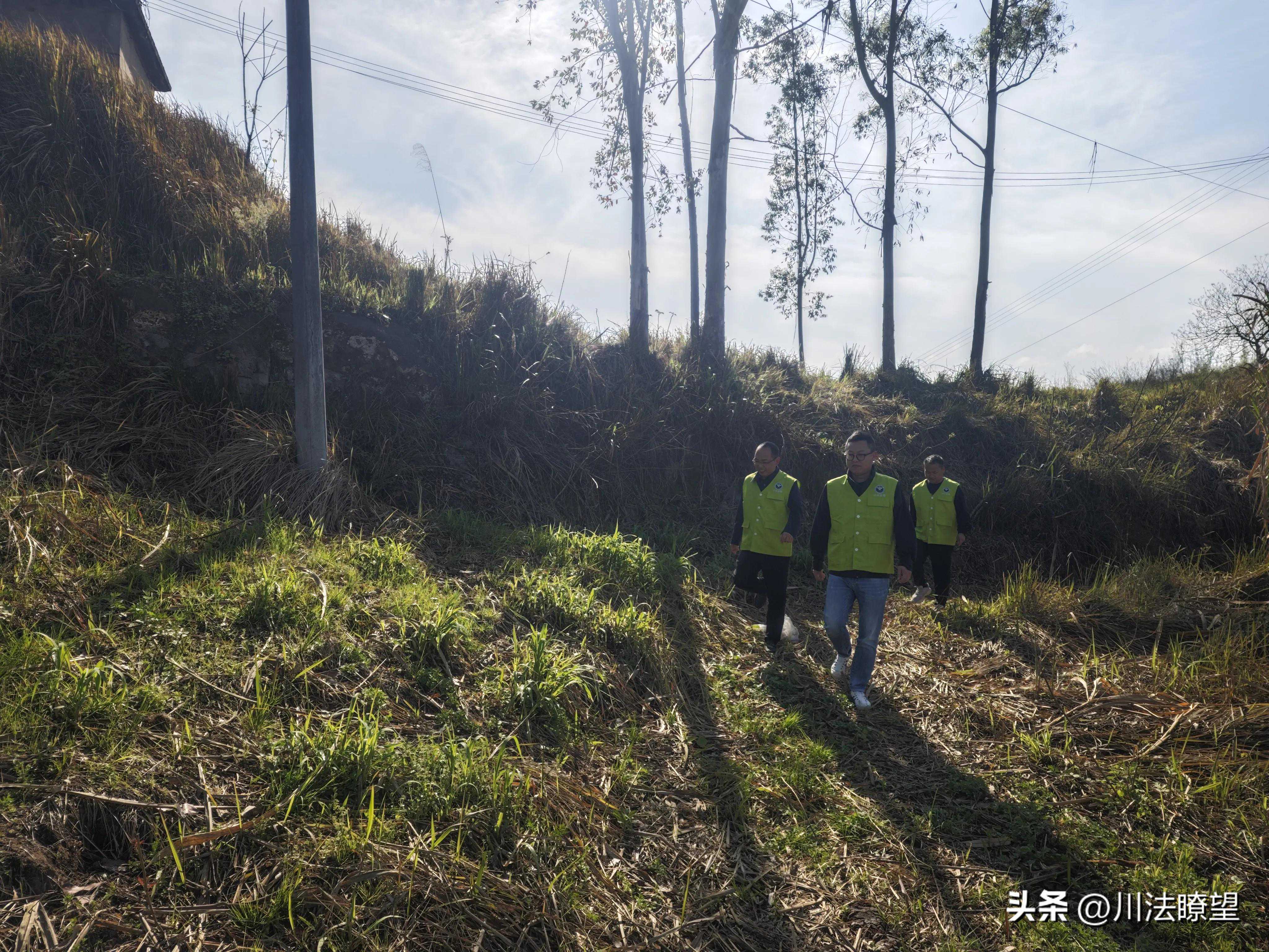 邻水县九龙镇扎实开展清明节期间禁毒工作